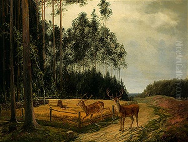 Hirsche Brechen In Ein Weizenfeld Ein - view 1