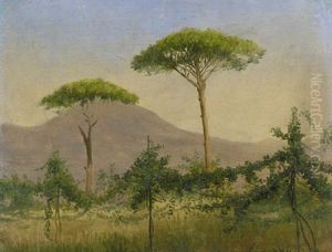 Aussicht Von Weinbergen Auf Den Vesuv by Hans Jorgen Hammer