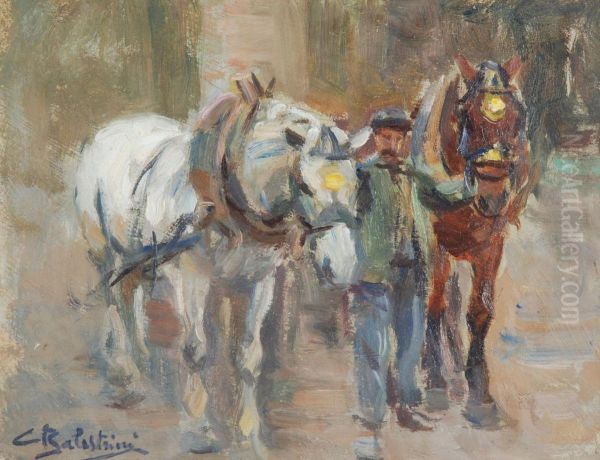 Cavalli Da Carrozza - view 1