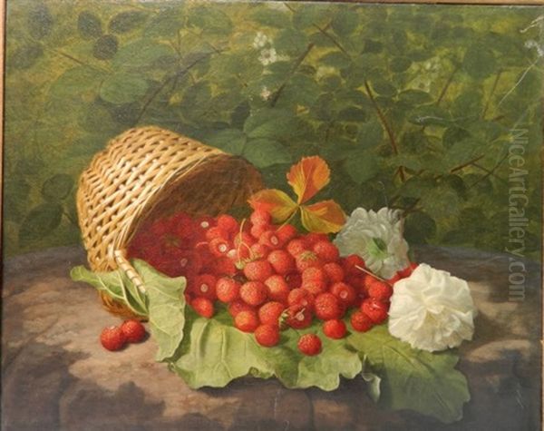 Fraises Du Bois - view 1