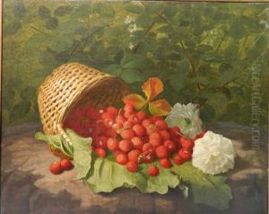 Fraises Du Bois