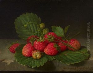 Still Life With Strawberries Still Life With Strawberries