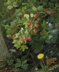 Waldstuck Mit Stachelbeeren, Lowenzahn, Glockenblumen, Schnecke Und Frosch