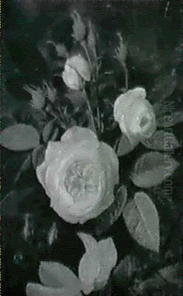 Voksende Lyserod Rose - view 1