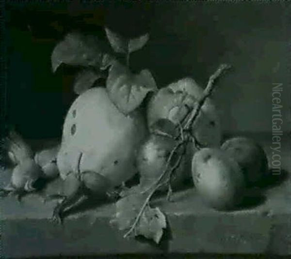Fruchtestilleben Mit Apfel, Quitte, Haselnussen Und         Pflaumenzweig - view 1