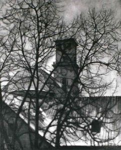 Vor Frue Kirke Set Gennem Nogne Traeer