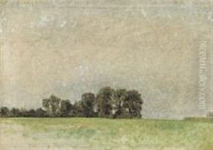 Landscape Study