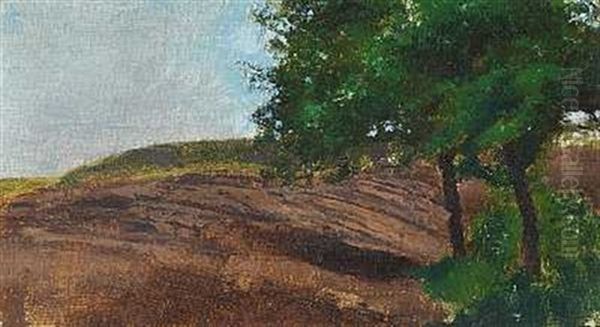 Landskab Med Marker Og Traeer - view 1