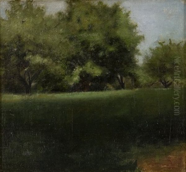 Ved Et Skovbryn - view 1