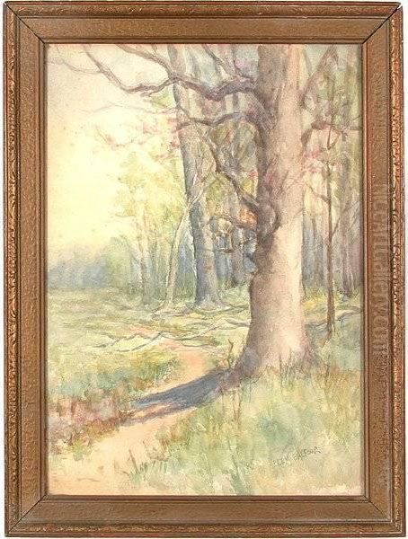 Titled Marin Scene - view 1
