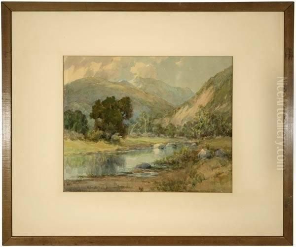 Oak Tree Near A Stream In A San Gabriel Landscape - view 1