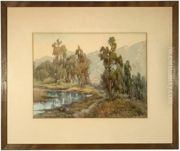 Eucalyptus Reflections In A Landscape - view 1