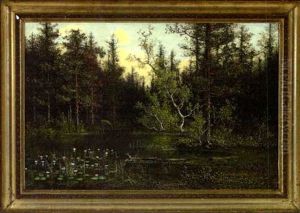 Woodland Stream by John Olson Hammerstad