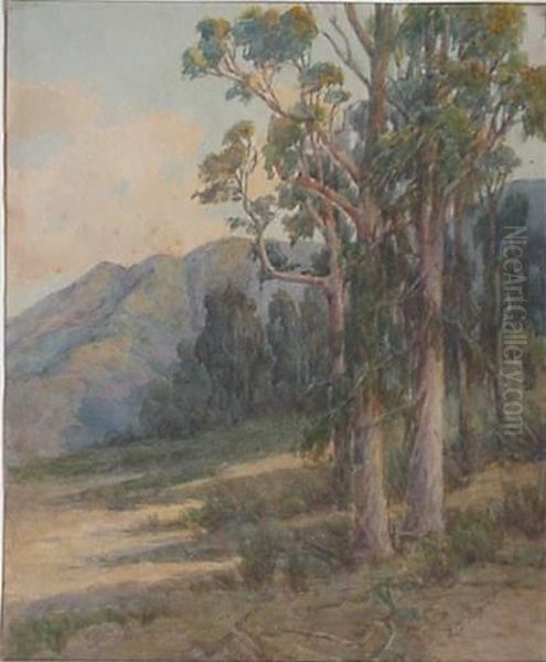 California Landscape - view 1