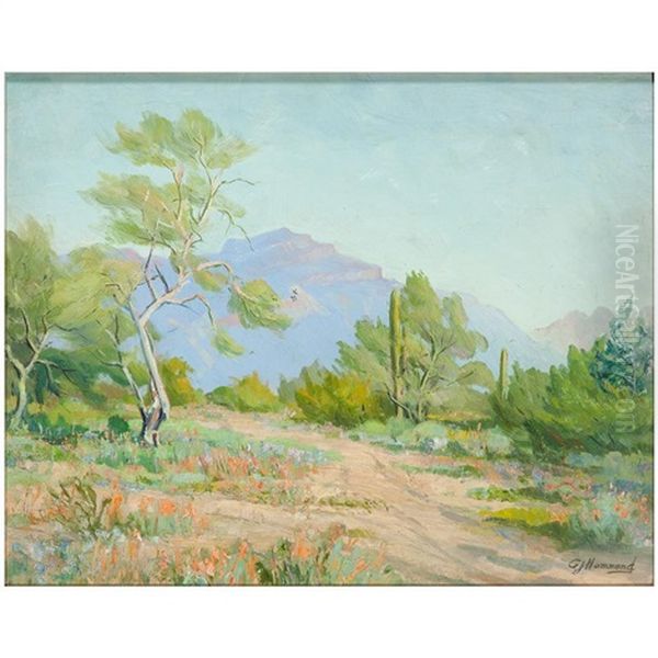 Yosemite Landscape - view 1
