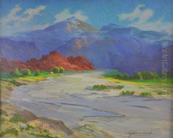 Red Mountains, Arizona - view 1