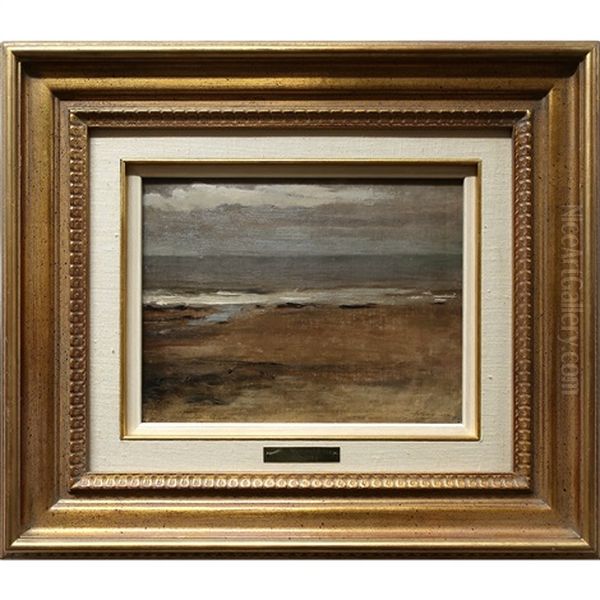 Seashore - view 1