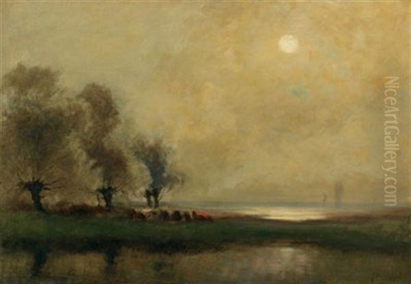 Tantamire Marshes, N.b. - view 1
