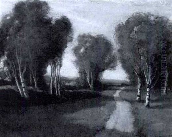 Birch Trees Along A Country Road - view 1