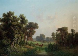Cerf Et Biches Dans La Clairiere