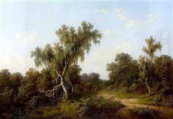 Waldlichtung Mit Hirsch Und Hirschkuhen - view 1