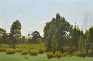 Towards The You Yangs by Carl Hampel