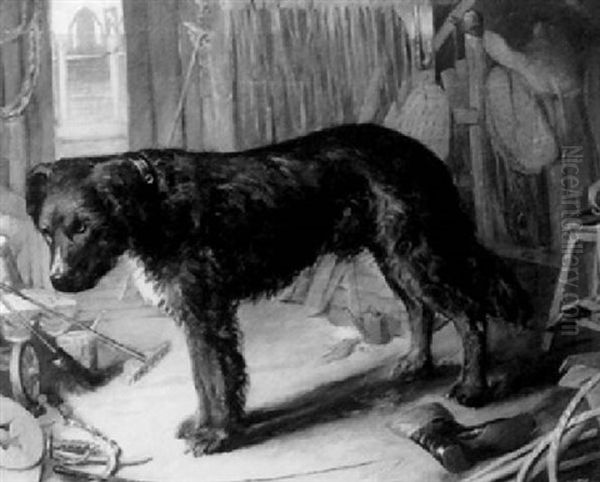 A Dog In A Stable - view 1