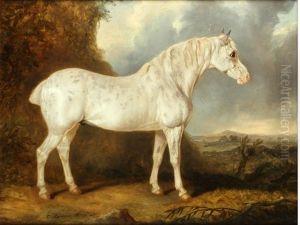 Grey Horse Before An Open Vista Grey Horse Before An Open Vista