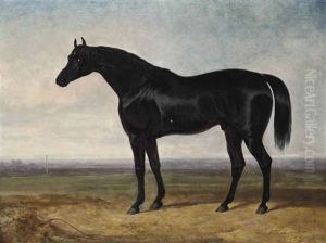 A Favourite Hunter by Charles Hancock
