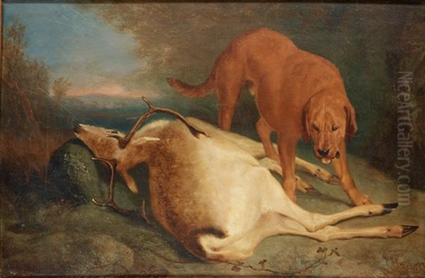 Hund Och Hjort - view 1
