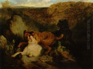 Hunde I Kamp Om Byttet Hunde I Kamp Om Byttet