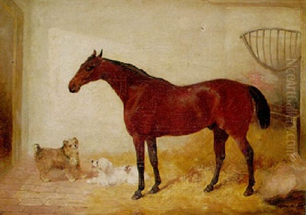 Stable Companions - view 1