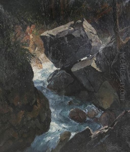 Waldschlucht In Der Floite (zillertal) - view 1