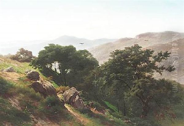 Blick In Eine Weite Sommerliche Mittelgebirgslandschaft - view 1
