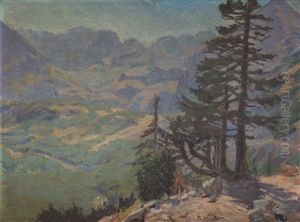 Na Drodze Do Czarnego Stawu ("on The Way To The Czarny Staw") by Maks (Max) Haneman