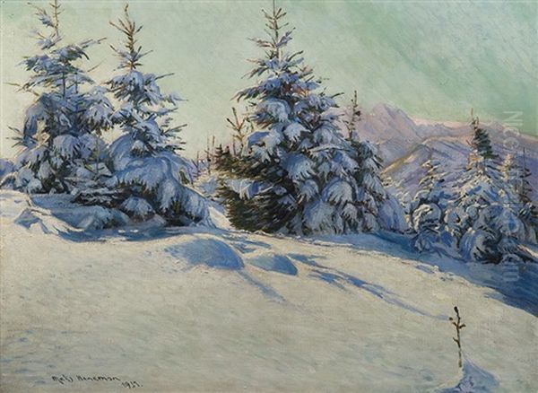 Winter In The Tatras - view 1