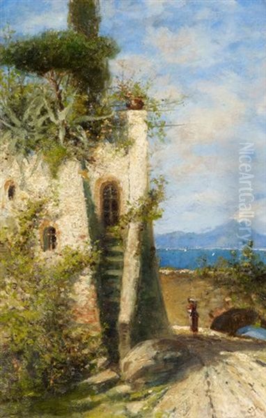 Blick Auf Den Vesuv - view 1