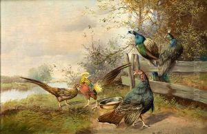 Truthahn, Pfauen Und Fasane Am Kanalufer by Max Josef Haenger Sr.
