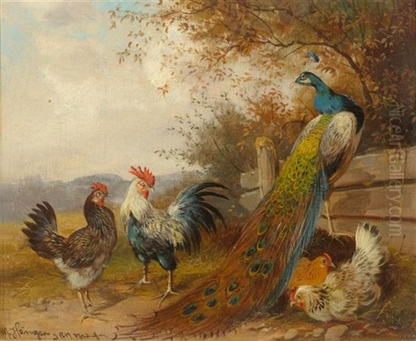 Hens And Peacock - view 1