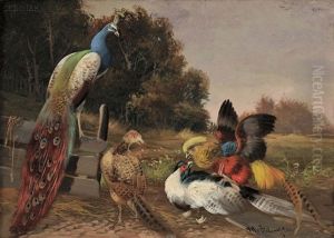 Still Life With Peacock And Pheasants by Max Josef Haenger Sr.