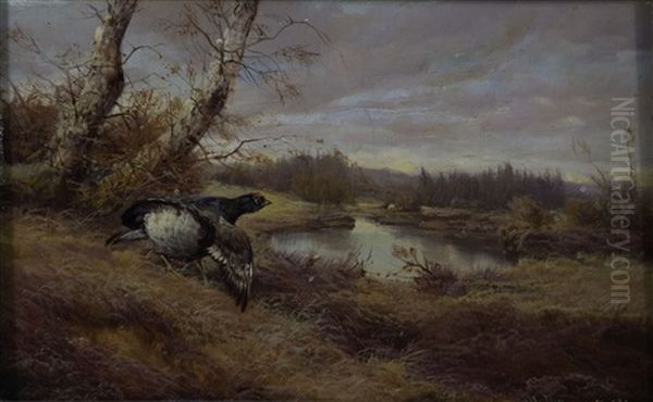 Auerhahn In Herbstlicher Landschaft - view 1
