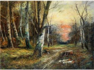 Blick In Die Schneise Eines Birkenwaldes Im Abendlicht by Rezso Balint