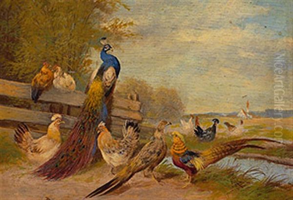 Pfau, Fasane Und Huhner In Sommerlicher Bachlandschaft Mit Hag - view 1