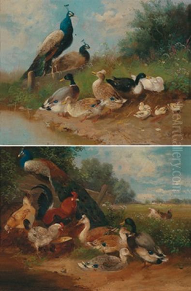 Zwei Geflugelbilder Mit Huhnern, Enten Und Pfauen (diptych) - view 1