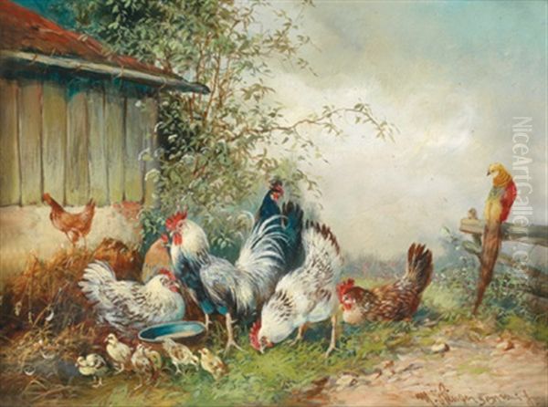 Huhner Und Ein Pfau - view 1