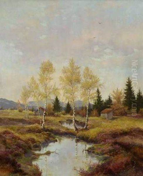 Herbst Im Aiblinger Moor - view 1