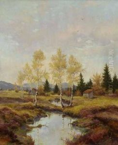 Herbst Im Aiblinger Moor