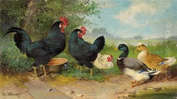 Ducks And Hen - view 1