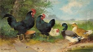 Ducks And Hen