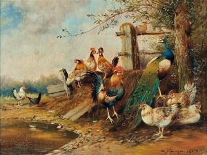 Courtyard - Hens And Peacock